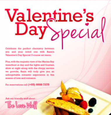 vday2012_promo