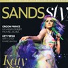 Sands Style Cover
